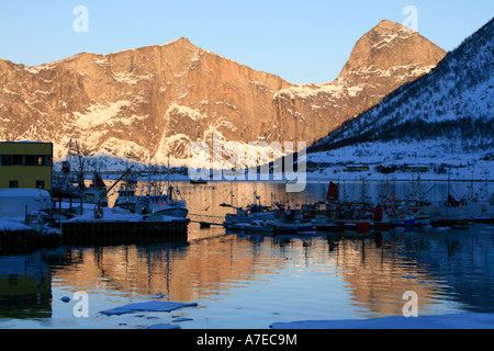 Mefjordbotn village de pêcheurs du littoral situé au milieu des montagnes de l'Arctique Norvège hiver senja Banque D'Images