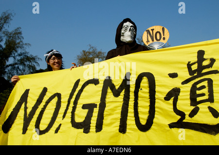Protestant contre l'utilisation de cultures d'OGM à l'OMC en décembre 2005 des manifestations à Hong Kong SAR Chine Banque D'Images