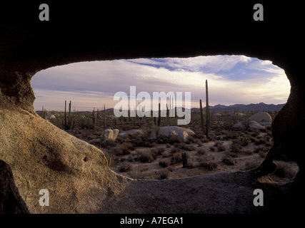 Mexique, Baja del Norte, Désert Catavina réserve nationale. Paysage désertique Banque D'Images