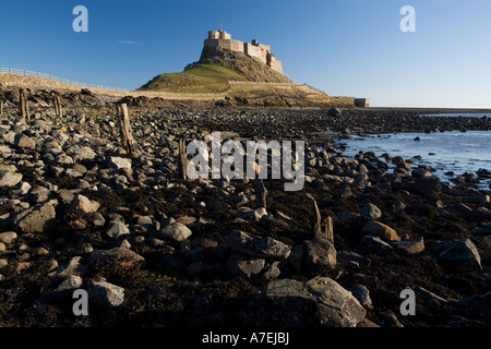 Vue sur Château de Lindisfarne à partir de la plage de galets, l'île sacrée, Northumberland, England, UK Banque D'Images