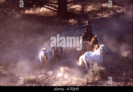 Un cowboy en arrondissant les chevaux dans un ranch dans le centre de l'Oregon USA Banque D'Images