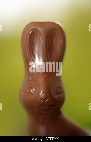 Lapin de Pâques en chocolat contre un arrière-plan vert, l'accent sur le nez, close-up Banque D'Images