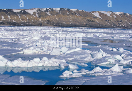 Les glaces à la dérive dans le détroit d'Hinlopen, Swalbard, Spitzberge, Arcita Banque D'Images