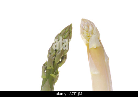 Asperges vertes et blanches Banque D'Images