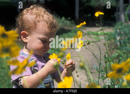 Dix-huit mois, de l'Indiana Indianapolis West Mariel examine une fleur Banque D'Images