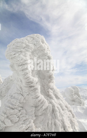 Monstres de neige - Arbres de neige bloqué sur d'eux en hiver Mont Hakkoda Japon Banque D'Images