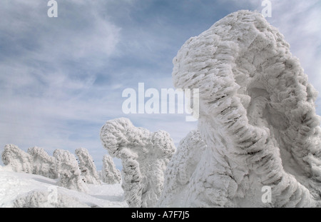 Monstres de neige - Arbres de neige bloqué sur d'eux en hiver Mont Hakkoda Japon Banque D'Images