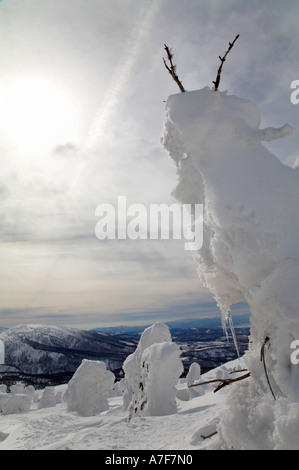 Monstres de neige - Arbres de neige bloqué sur d'eux en hiver Mont Hakkoda Japon Banque D'Images