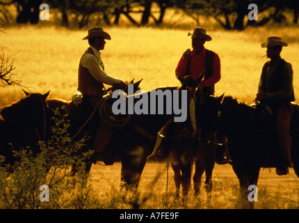 Silhouette de trois cowboys sur les chevaux parlent ensemble au coucher du soleil Banque D'Images