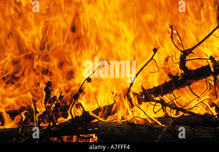 Les flammes et les incendies de forêt de pins tordus de gravure en ligne de 1988 historique des incendies de Yellowstone Parc National de Yellowstone au Wyoming Banque D'Images
