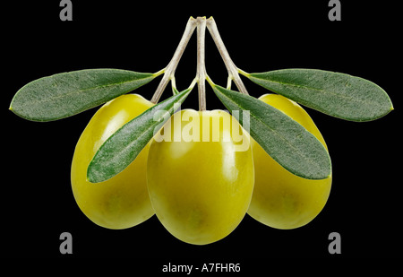 Trois OLIVES VERT SUR NOIR Banque D'Images