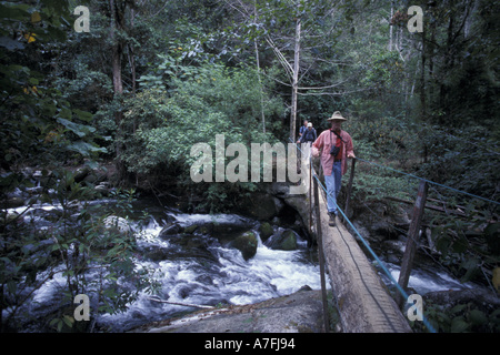 L'Amérique centrale, le Costa Rica, la vallée de San Gerardo. Traversée de la rivière Savegre, Montagnes Talamanca Banque D'Images