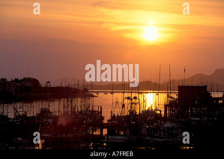 NA, USA, Alaska, Sitka, une partie de la flotte de pêche de Sitka est lié ; l'île Baranof est derrière Banque D'Images
