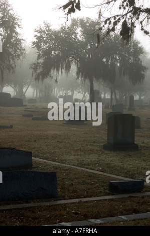 Sur le cimetière de matin brumeux Banque D'Images