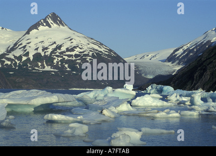 Nous, AK, Portage Lake, icebergs dans Portage Lake, au sud d'Anchorage Banque D'Images