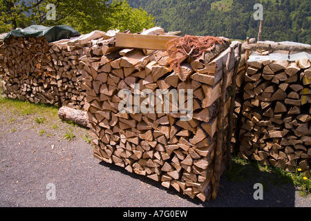 La pile même suisse leur bois de chauffage avec précision cette pile est en train de sécher près du village de Wengen dans les Alpes au-dessus de Interlaken Banque D'Images