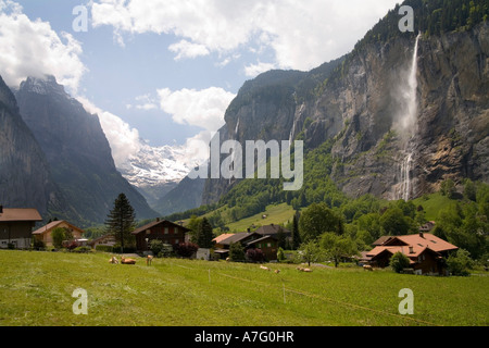 Les fleurs sauvages d'eau des rivières et des chutes d'herbe verte la vallée Lauterbrunen grace au-dessus Interlaken Suisse Banque D'Images