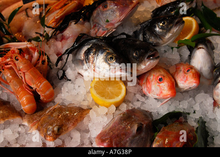 Variété de poissons à vendre sur glace à fish shop, London, UK. Banque D'Images