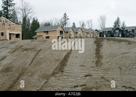 Construire et encadrer de nouvelles maisons individuelles sur des terres subdivisées nivelées défrichées à la lisière de la forêt. Banque D'Images