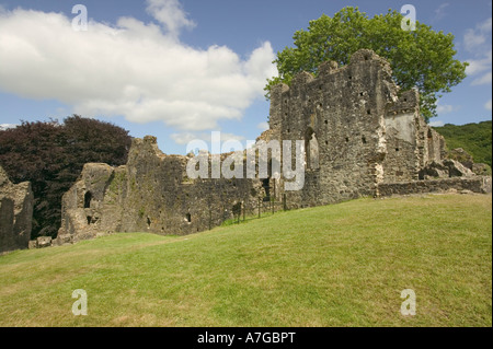 Les ruines de château d'Okehampton Okehampton Devon en Grande-Bretagne Banque D'Images