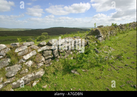 Un mur de pierres sèches sur les terres agricoles près de Postbridge Dartmoor National Park Grande-bretagne Devon Banque D'Images