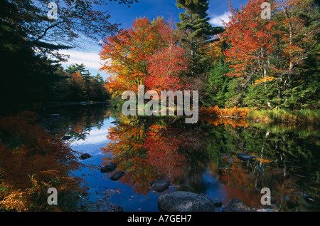 La rivière Mersey automne Parc national Kejimkujik en Nouvelle-Écosse, Canada Banque D'Images