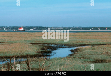 Marais pollués après déversement de pétrole et de raffinerie de Fawley Hampshire New Forest - UK Banque D'Images