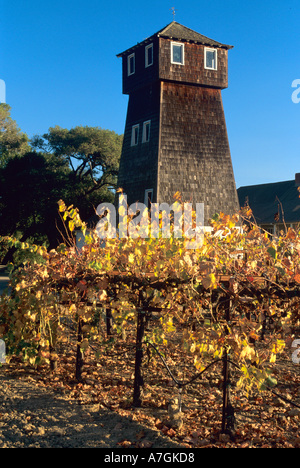 États-unis, Californie, dans le comté de Mendocino, Philo, réservoir d'eau tour à l'Handley Cellars Winery Banque D'Images