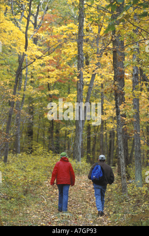 Nous, TC, Kent, les forêts de chênes et de caryers à Litchfield Hills. La propriété de l'école du Kent dans le cadre d'un projet de NPT. (MR) Banque D'Images