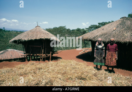 Accueil Kikuyu traditionnel dans la province centrale du Kenya Afrique de l'Est Banque D'Images