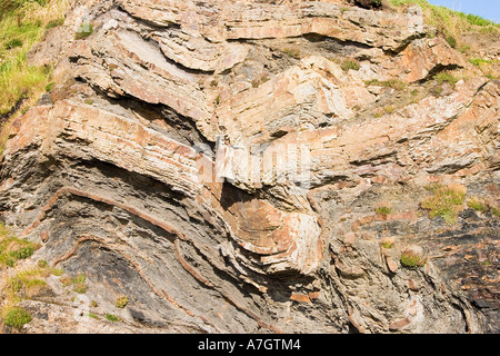 La section de mur de roche érodée par la mer Broadhaven Dyfed SW Wales UK Banque D'Images