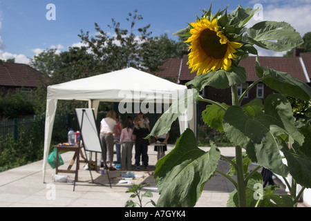 De plus en plus haut dans le jardin communautaire de tournesol, professeur d'art de donner aux enfants de moins marquee blanc, Bolton, Angleterre, RU Banque D'Images