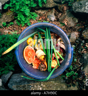 Seau de compost de cuisine avec les enveloppes de maïs doux sur son chemin vers le tas de compostage dans le jardin KATHY DEWITT Banque D'Images