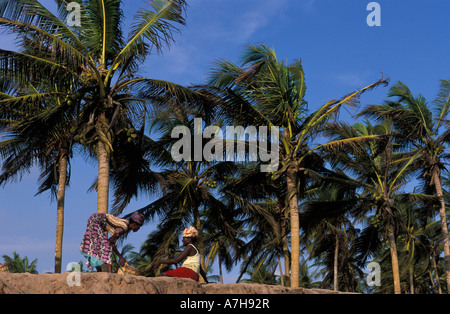 La plage bordée de palmiers, Ada Foah, Ghana Banque D'Images