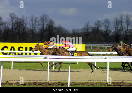 Fantaisiste en rouge Golden Dixie En orange les courses de chevaux sur la piste tous temps à Kempton Park Banque D'Images