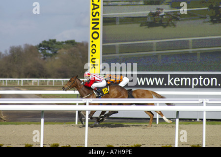 Fantaisiste en rouge Golden Dixie En orange les courses de chevaux sur la piste tous temps à Kempton Park Banque D'Images