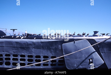 Mouettes perchées sur des sous-marin USS Pampanito Banque D'Images