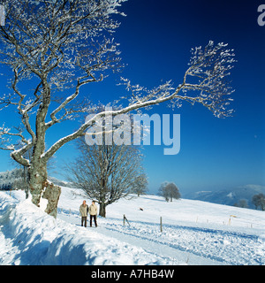 Promenade im Schnee, Winterlandschaft auf dem Schauinsland bei Freiburg, Breisgau, Oberrhein, Schwarzwald, Baden-Württemberg Banque D'Images