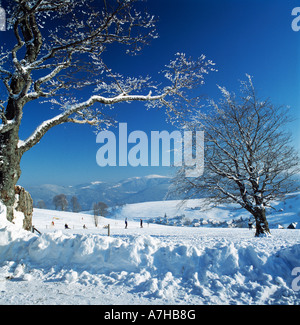 Winterlandschaft auf dem Schauinsland bei Freiburg, Breisgau, Oberrhein, Schwarzwald, Baden-Württemberg Banque D'Images