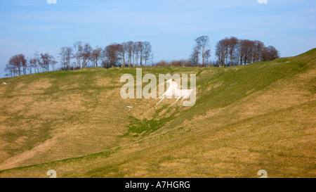 White Horse Hill figure sur Vega bas Wiltshire UK Banque D'Images