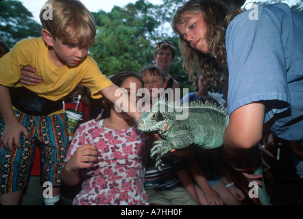 États-unis, Illinois, Chicago. Enfants un iguane pour animaux de compagnie au Zoo de Brookfield. Banque D'Images