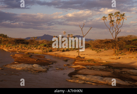 La rivière Ewaso Ngiro, Samburu National Reserve, Kenya Banque D'Images