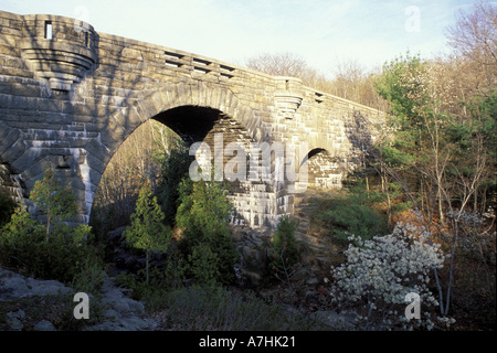 Amérique du Nord, nous, moi, le pont du ruisseau de canard. Au printemps. Shad bush. Transport routier. Banque D'Images