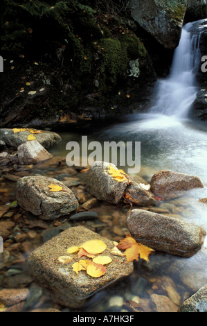 Amérique du Nord, nous, moi, des cascades. Feuillage d'automne. Sur le sentier de la gorge. Cadillac Mountain. Banque D'Images