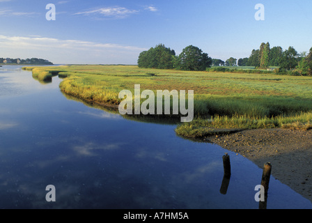 Amérique du Nord, nous, moi, la rivière et la Mousam Rachel Carson National Wildlife Refuge. Marais salant. Rivière à marées. Banque D'Images