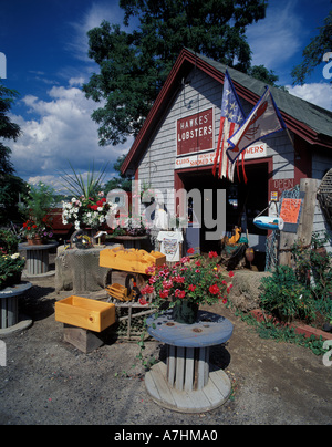 Amérique du Nord, Etats-Unis, dans le Maine, Cundy's Harbour, Hawkes homards Banque D'Images