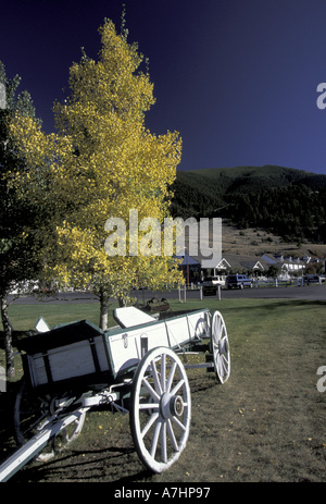 NA, USA, Montana, Paradise Valley Chico Hot Springs Resort ; buckboard et paysage Banque D'Images