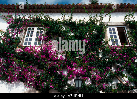 Fleurs sur façade d'immeuble, Obidos, district de Leiria, Portugal, Europe Banque D'Images