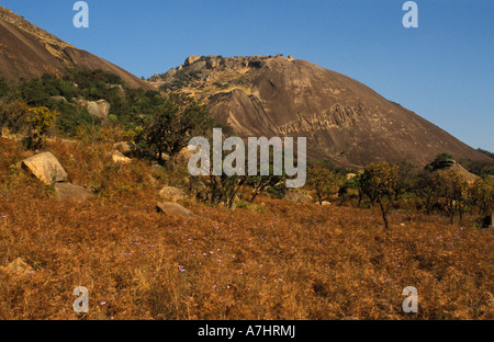 Sibebe rock un énorme dôme de granit Swaziland Mbabane Banque D'Images