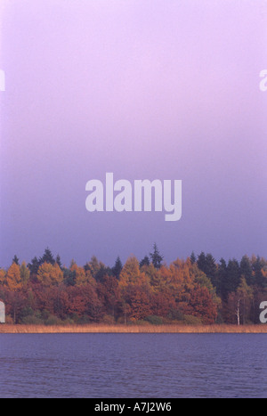 Au bord du lac Hampen Sø (Hampen ainsi) Banque D'Images